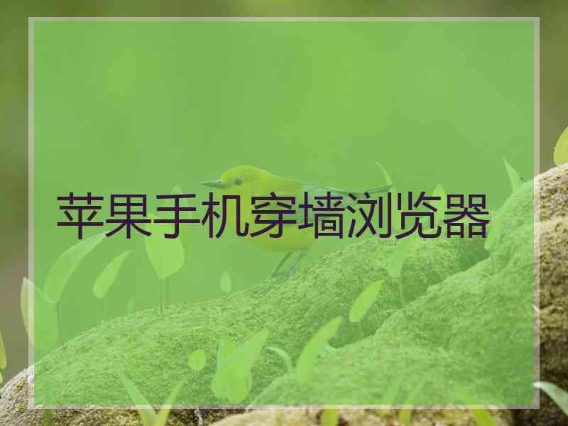 苹果手机穿墙浏览器