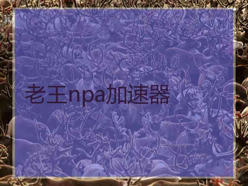 老王npa加速器