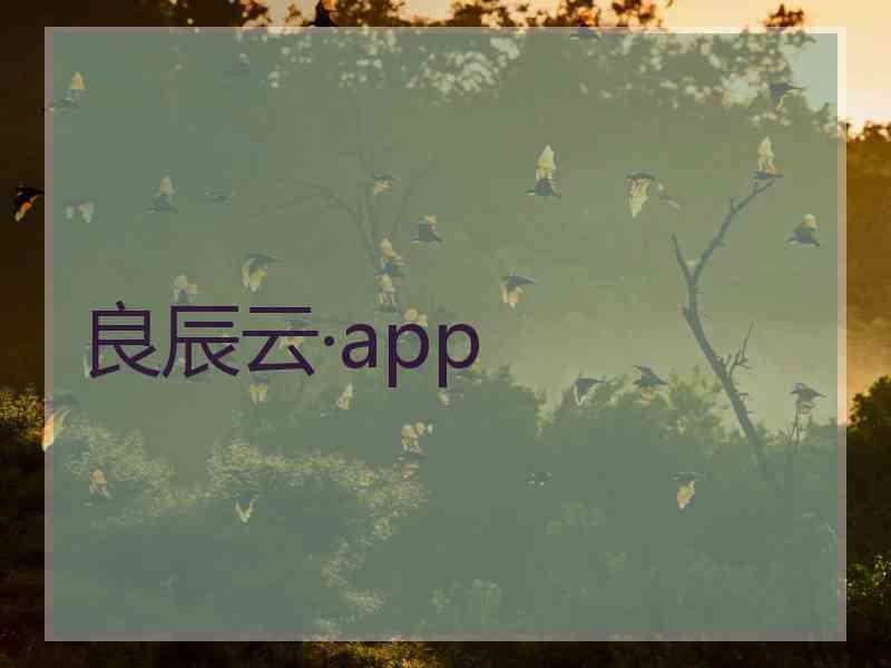 良辰云·app
