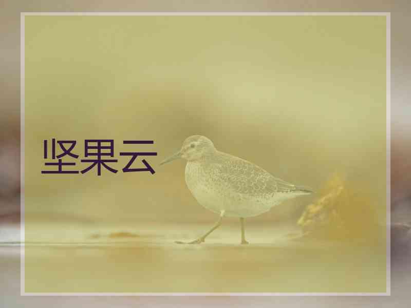 坚果云