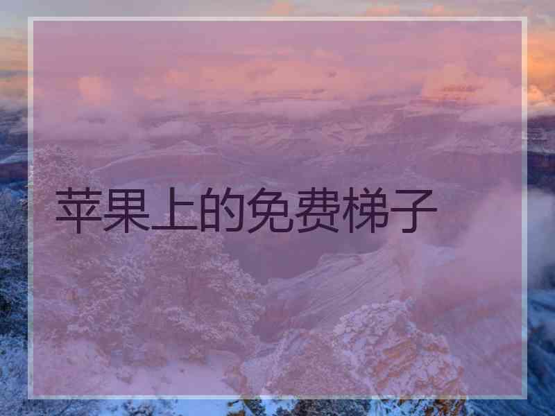 苹果上的免费梯子