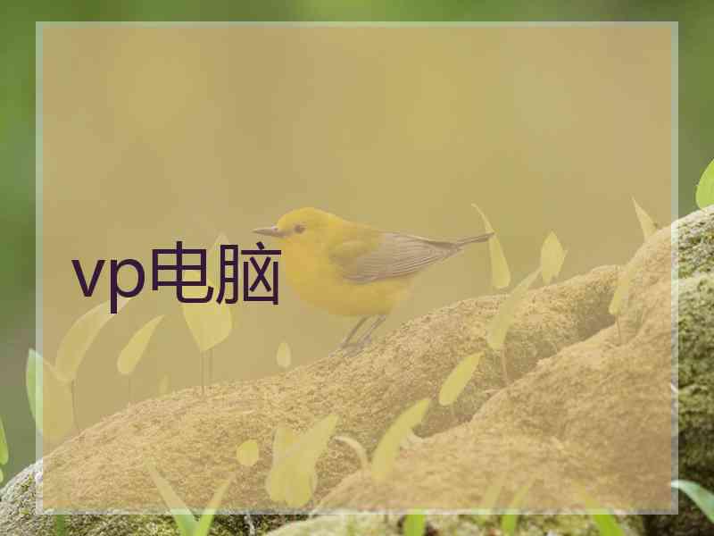 vp电脑