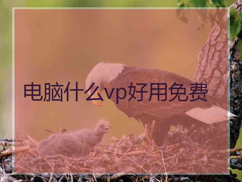电脑什么vp好用免费