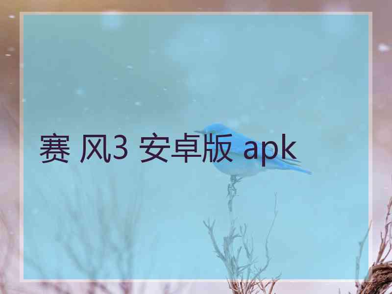 赛 风3 安卓版 apk
