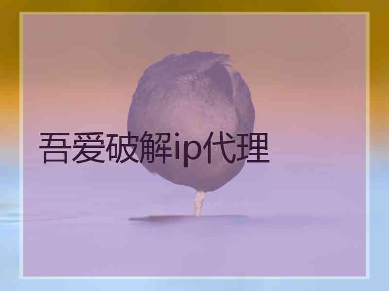 吾爱破解ip代理