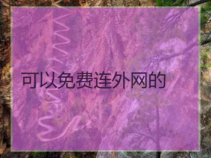 可以免费连外网的