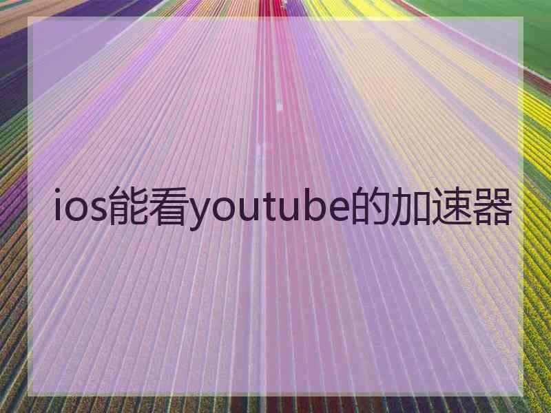 ios能看youtube的加速器