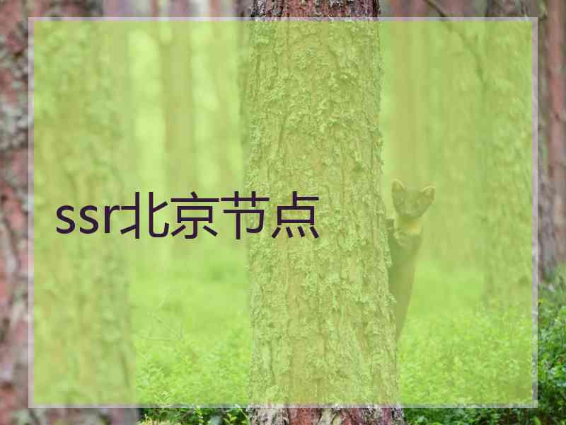 ssr北京节点