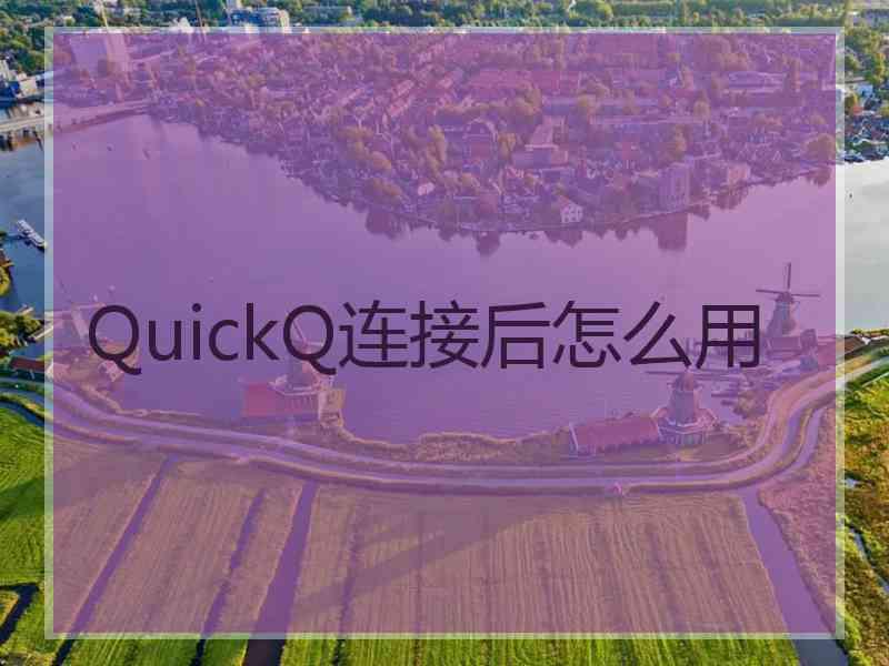 QuickQ连接后怎么用
