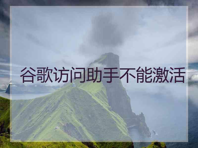 谷歌访问助手不能激活