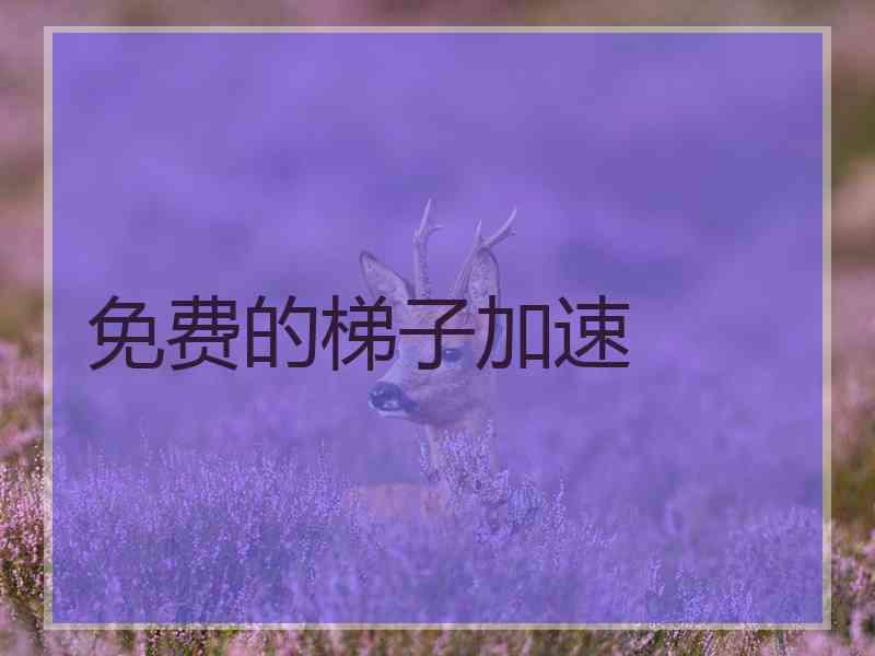 免费的梯子加速
