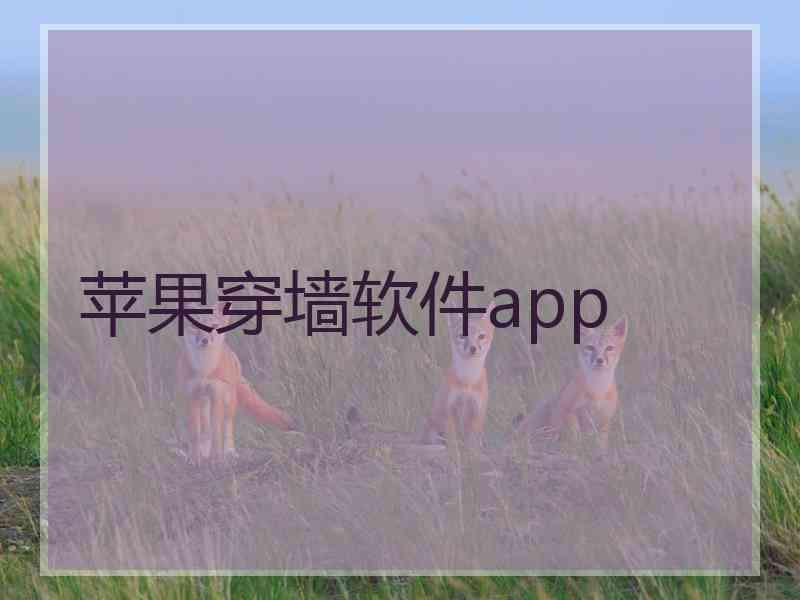 苹果穿墙软件app