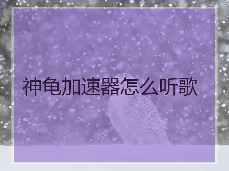 神龟加速器怎么听歌
