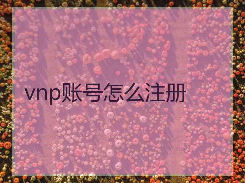 vnp账号怎么注册