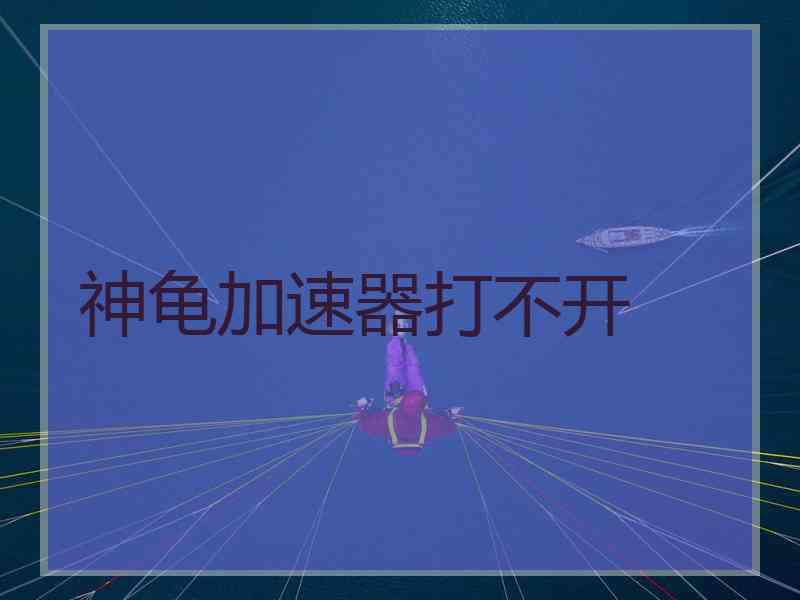 神龟加速器打不开