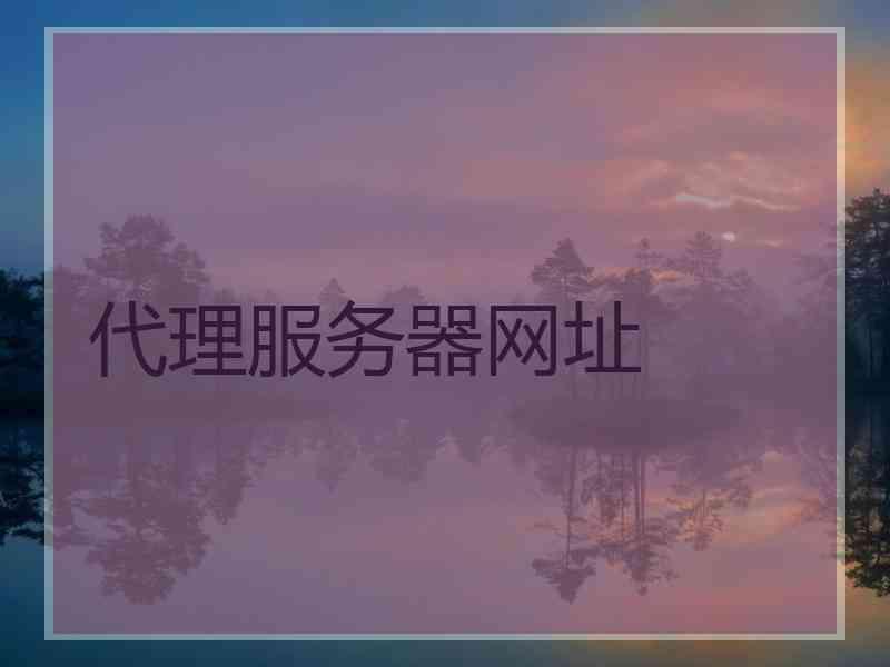 代理服务器网址