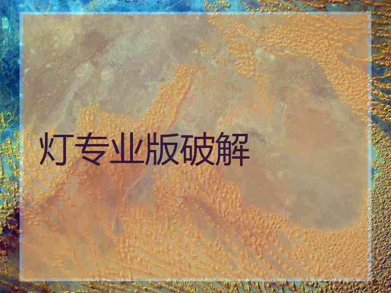 灯专业版破解