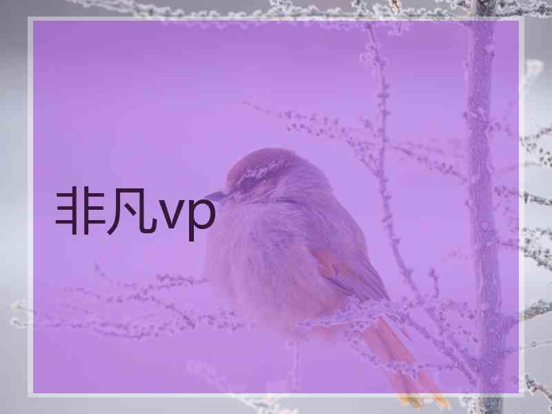 非凡vp