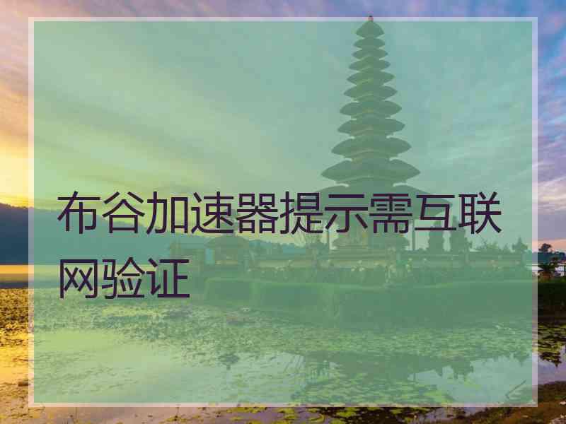布谷加速器提示需互联网验证