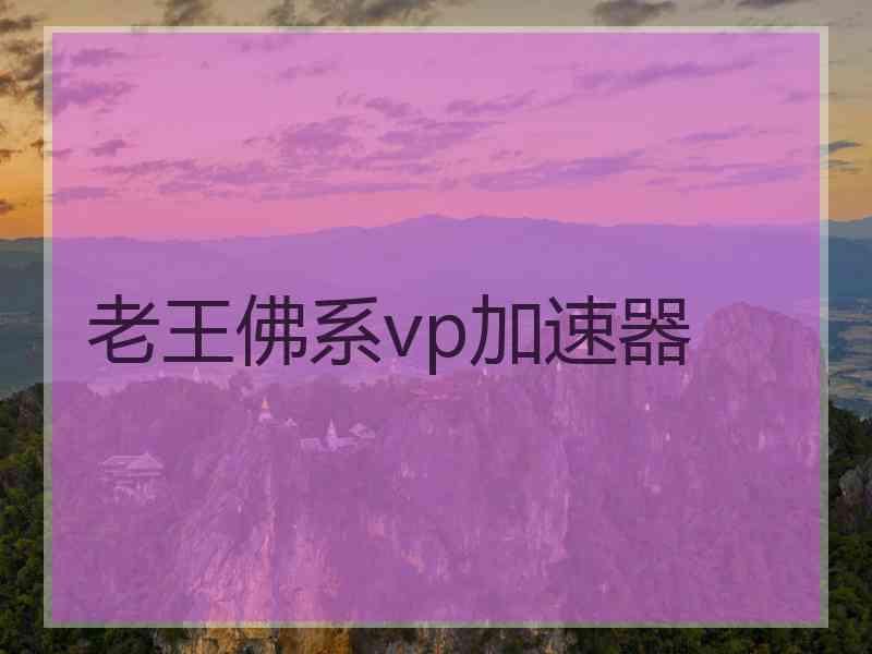 老王佛系vp加速器