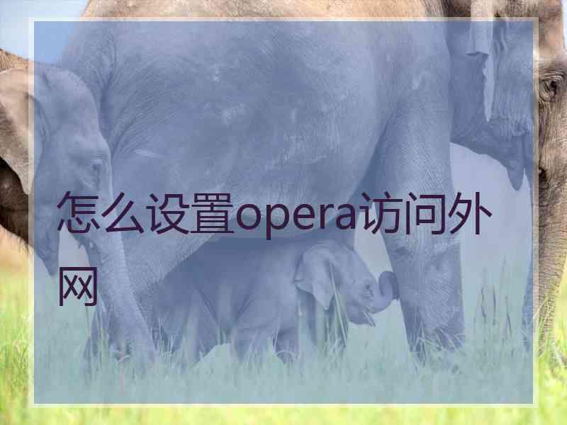 怎么设置opera访问外网