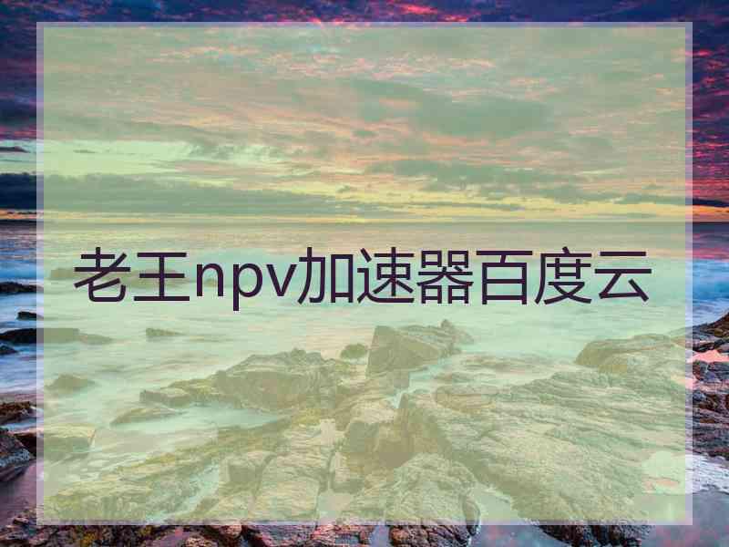 老王npv加速器百度云