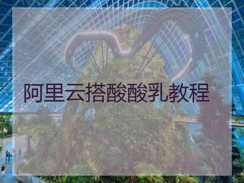 阿里云搭酸酸乳教程