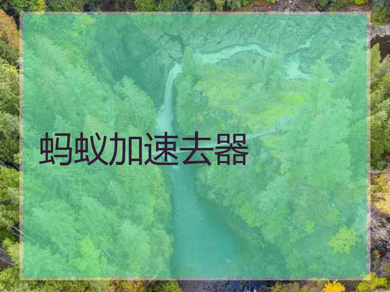 蚂蚁加速去器