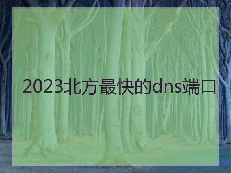 2023北方最快的dns端口