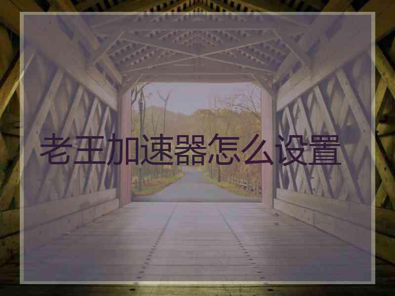 老王加速器怎么设置
