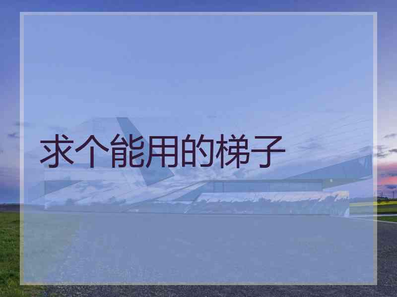 求个能用的梯子