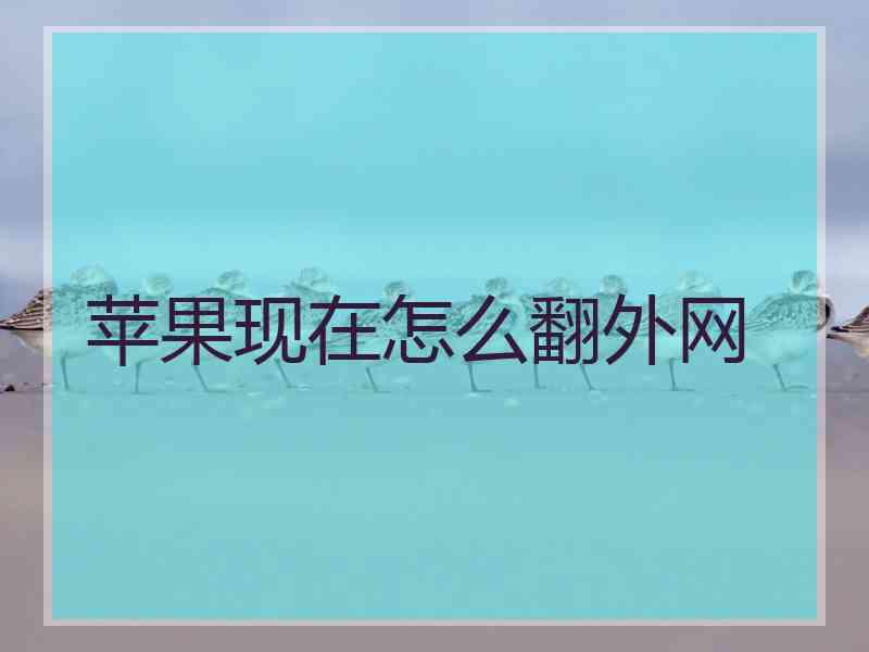 苹果现在怎么翻外网