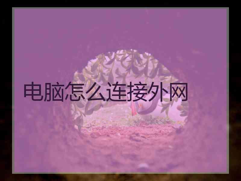 电脑怎么连接外网