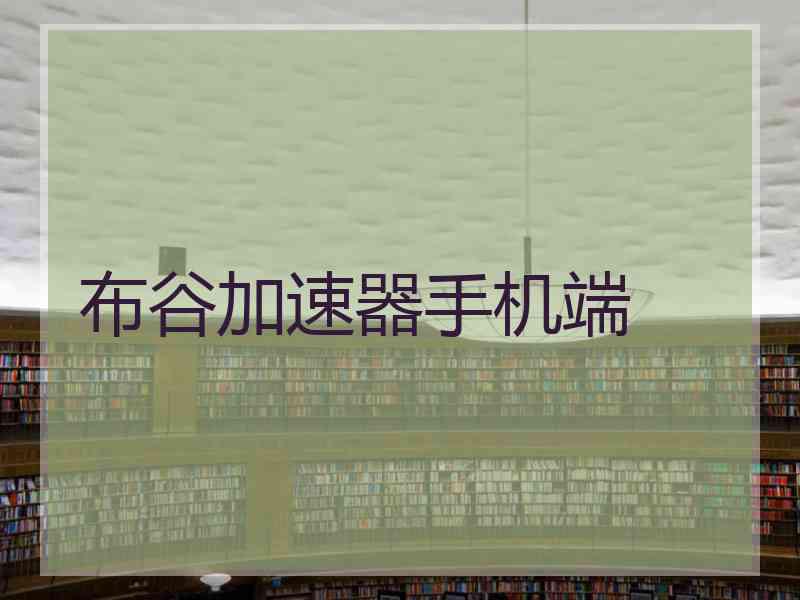 布谷加速器手机端