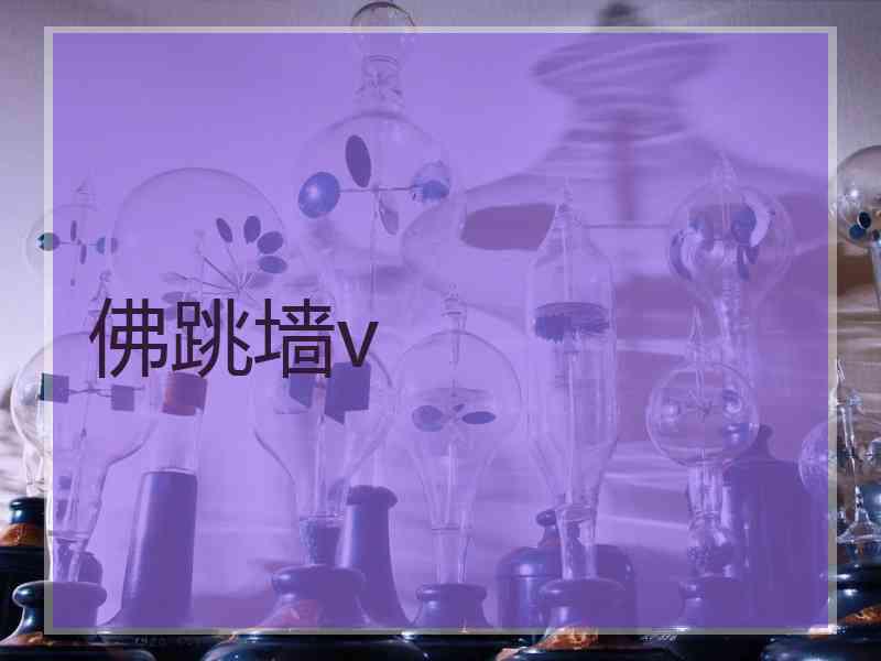 佛跳墙v