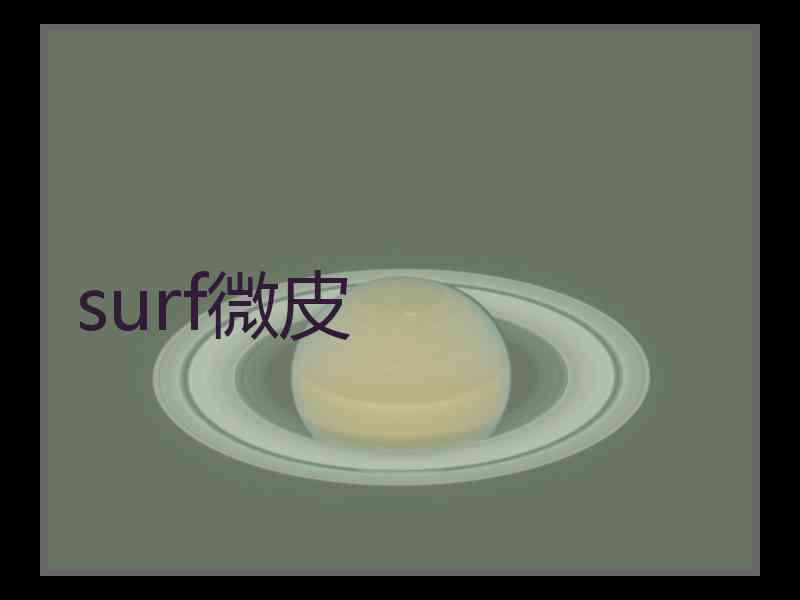 surf微皮