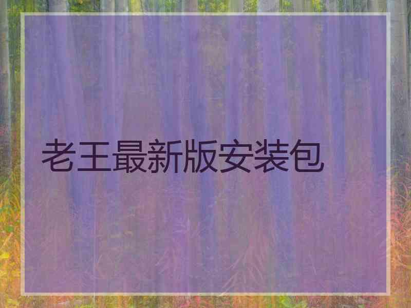 老王最新版安装包
