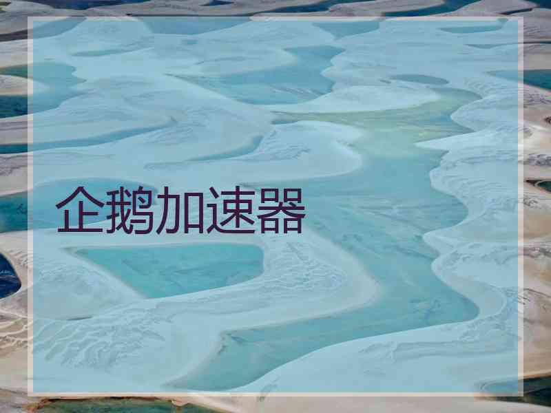 企鹅加速器