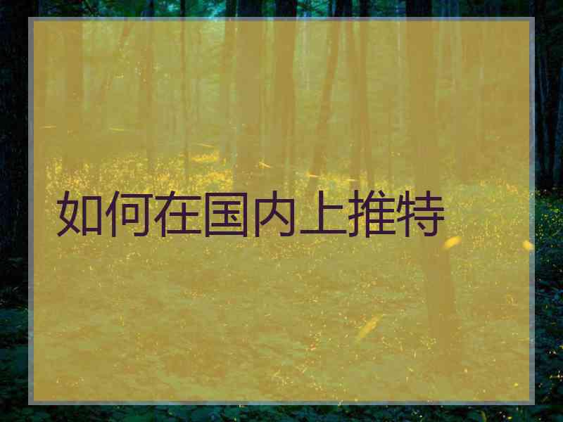 如何在国内上推特