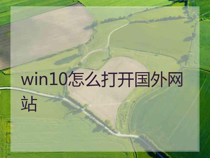 win10怎么打开国外网站