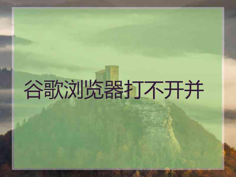谷歌浏览器打不开并