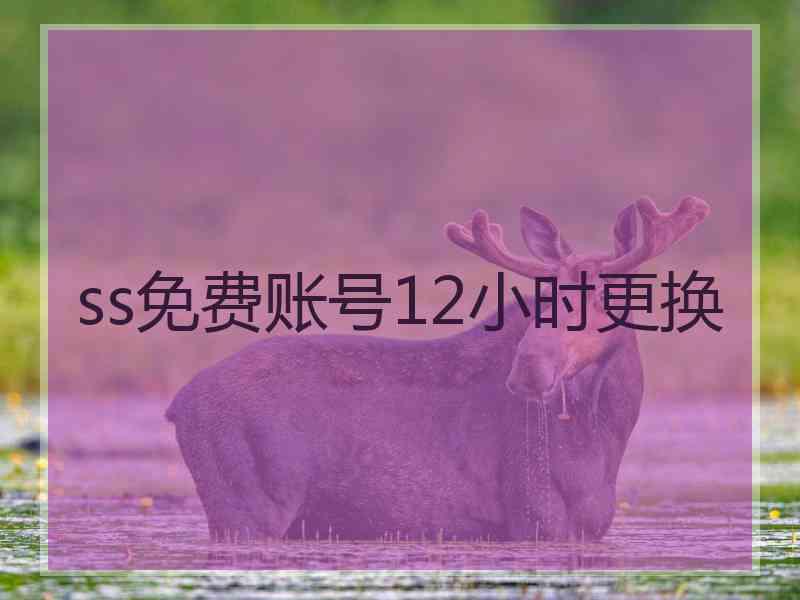 ss免费账号12小时更换