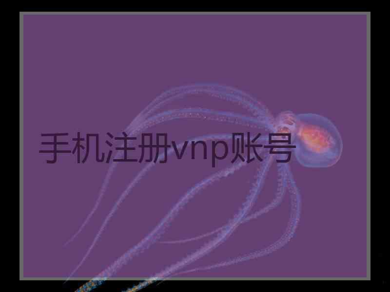 手机注册vnp账号