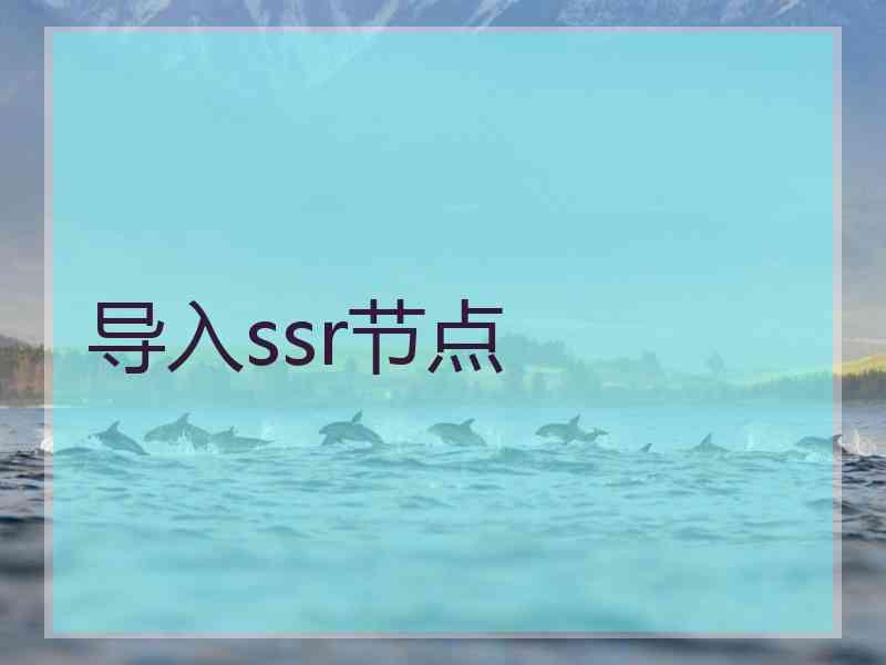 导入ssr节点