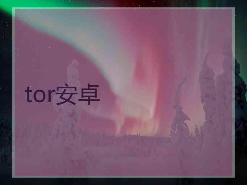 tor安卓