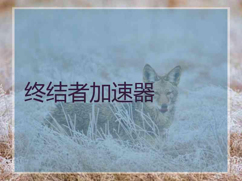 终结者加速器