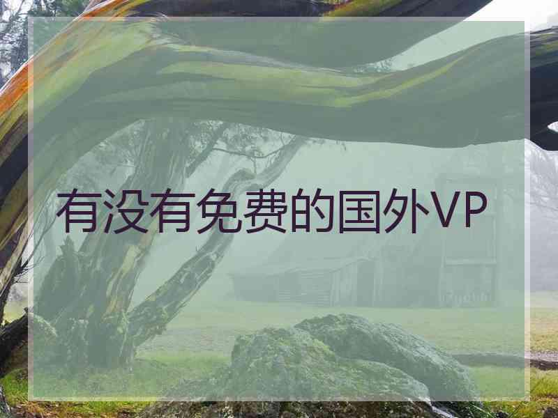 有没有免费的国外VP
