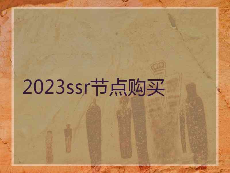2023ssr节点购买