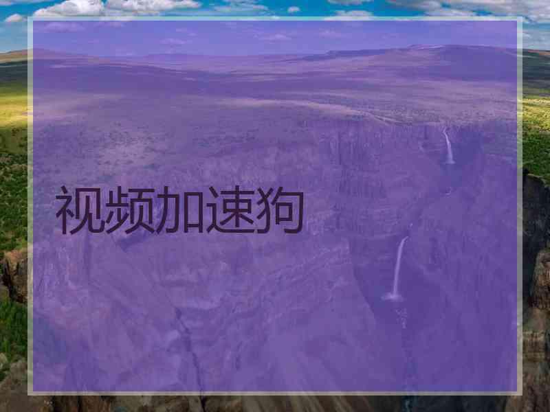 视频加速狗