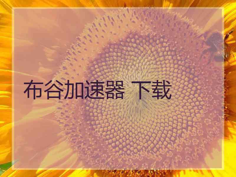 布谷加速器 下载